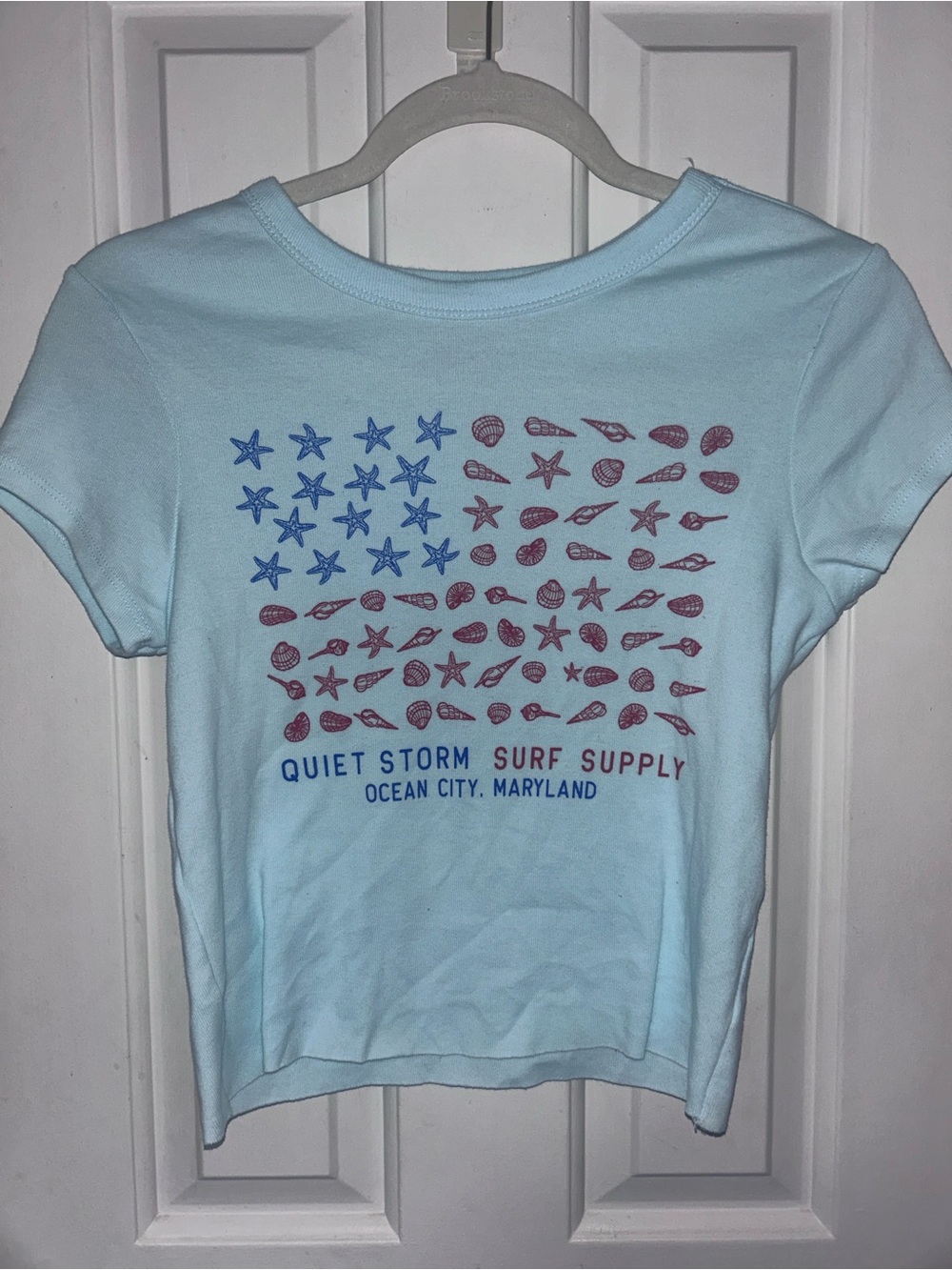 Quiet Storm Surf Supply Light Blue Crop Tee